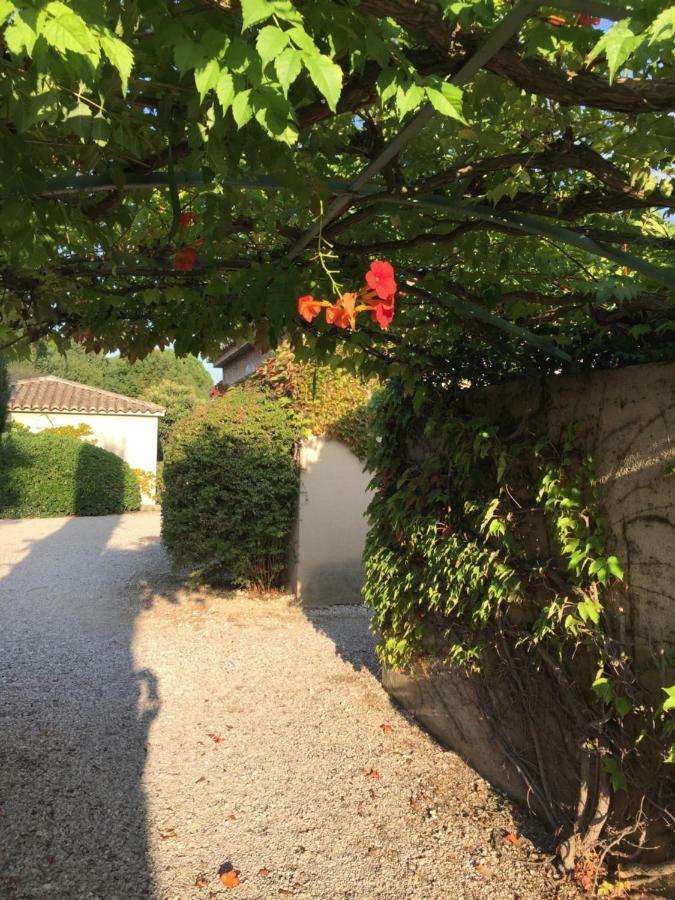 Le Mazet De Lola Villa Saint-Remy-de-Provence Ngoại thất bức ảnh